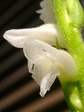 szk071013 004.01.jpg