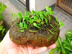 szk071013 018.01.jpg