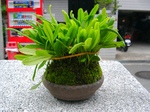 szk071014 011.01.jpg