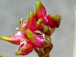 szk071016 008.01.jpg
