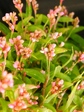 szk071016 021.01.jpg