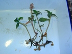szk071021 007.01.jpg