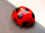 szk071022 005.01.jpg