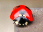 szk071022 007.01.jpg