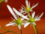 szk071023 006.01.jpg