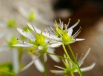 szk071023 009.01.jpg