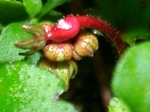 szk071023 012.01.jpg