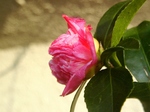 szk071023 017.01.jpg