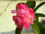 szk071023 018.01.jpg