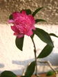 szk071023 020.01.jpg