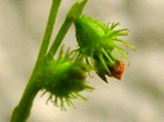 szk071023 026.01.jpg