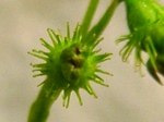 szk071023 027.01.jpg