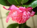 szk071024 004.01.jpg