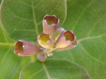 szk071024 012.01.jpg