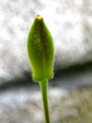 szk071024 016.01.jpg
