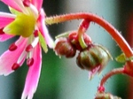 szk071027 005.01.jpg