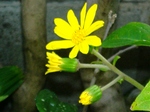szk071028 021.01.jpg