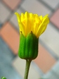 szk071028 025.01.jpg
