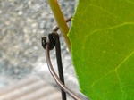 szk071031 010.01.jpg