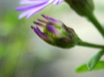 szk071104 005.01.jpg