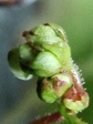szk071104 017.01.jpg