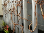 szk071104 023.01.jpg