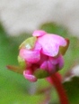 szk071107 002.01.jpg