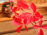 szk071110 016.01.jpg