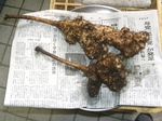 szk071111 007.01.jpg