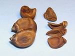 szk071113 004.01.jpg