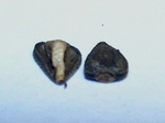 szk071113 015.01.jpg