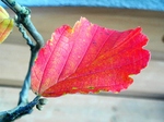 szk071114 010.01.jpg
