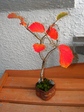 szk071114 013.01.jpg