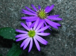 szk071114 015.01.jpg