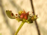 szk071117 008.01.jpg