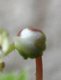 szk071117 021.01.jpg