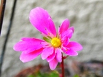 szk071117 023.01.jpg
