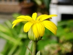 szk071119 002.01.jpg