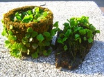 szk071124 002.01.jpg