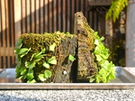 szk071124 008.01.jpg