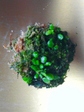 szk071124 028.01.jpg