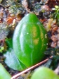 szk071124 038.01.jpg