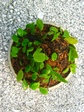 szk071124 042.01.jpg