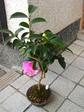 szk071126 003.01.jpg