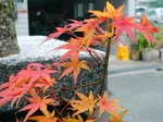 szk071128 010.01.jpg
