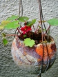 szk071128 016.01.jpg