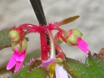 szk071130 003.01.jpg