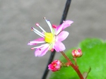 szk071130 004.01.jpg
