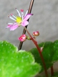 szk071130 005.01.jpg
