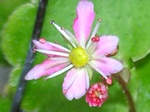 szk071130 008.01.jpg